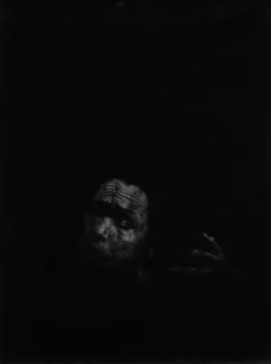 DZEN artwork