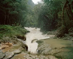 El cabal del riu [The River’s Course] artwork