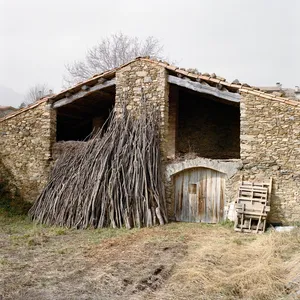 El camp d'elles