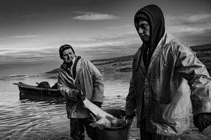 Elegy of Trawling artwork