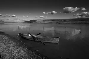 Elegy of Trawling artwork