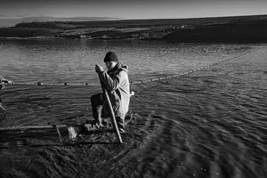 Elegy of Trawling artwork