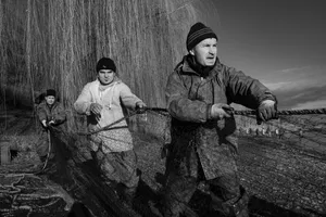 Elegy of Trawling artwork