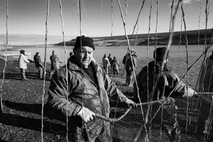 Elegy of Trawling artwork