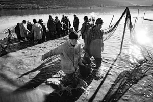 Elegy of Trawling artwork