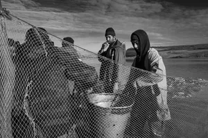 Elegy of Trawling