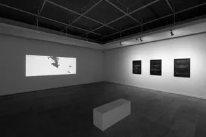 Environments artwork