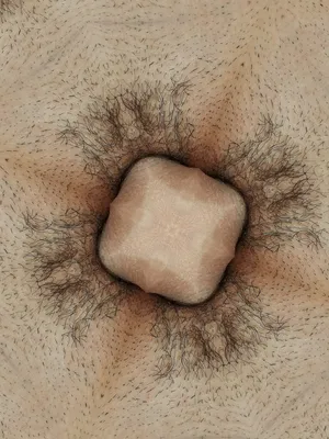 Erotic Alchemy artwork