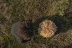 Barreiro in Ecologies