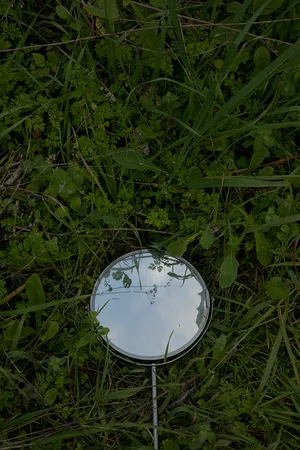 Barreiro in Ecologies artwork