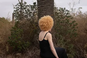 Barreiro in Ecologies artwork