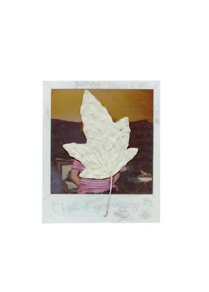 Every Saturday artwork