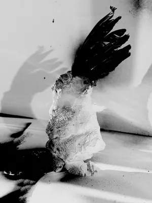 Everything Goes Dark a Little Further Down artwork