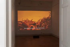 Ex Utero artwork