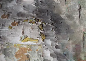 Extension artwork