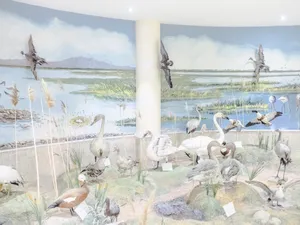 Fading Flamingos artwork