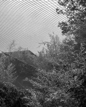 Fading Senses artwork