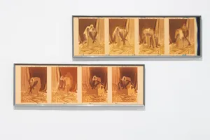 Familiar artwork