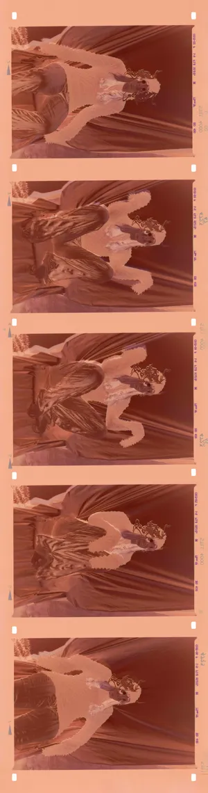 Familiar artwork