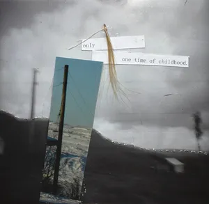 Family Album artwork