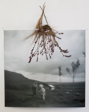 Family Album artwork