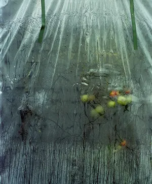 Meet the artists nominated by PhotoIreland in 2023