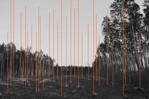 Feedback Loop artwork