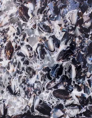 Filter Feeders, Double Binds & Other Silicones artwork