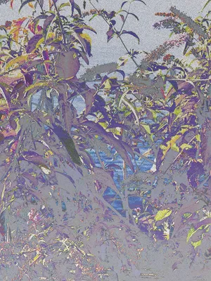 Flora Neocomensis artwork