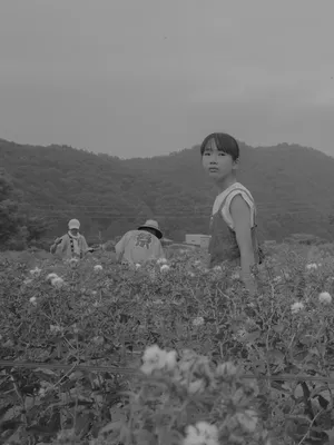 Flower(s) artwork