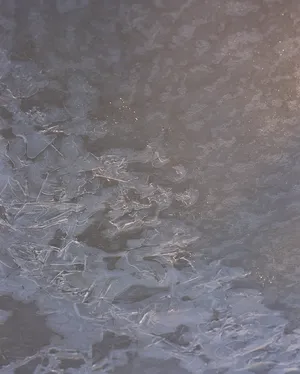 Fluid artwork