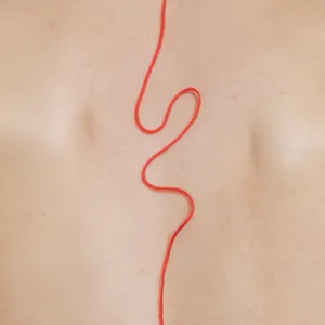 Follow the red line artwork