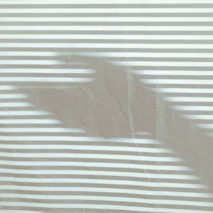 Follow the red line artwork
