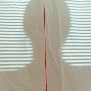 Follow the red line artwork