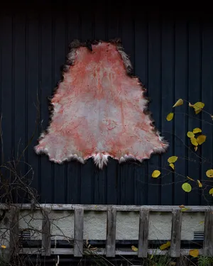 Fragment artwork