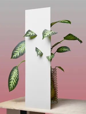 Front End artwork