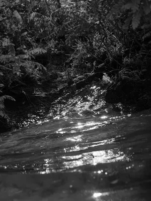 FUTURES Open Call 2025: METAMORPHOSIS Selected Artists