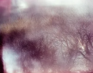 FUTURES Open Call 2025: METAMORPHOSIS Selected Artists
