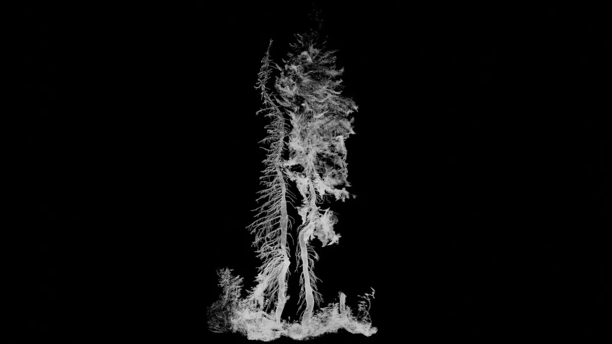 FUTURES Open Call: Ties That Bind Selected Artists