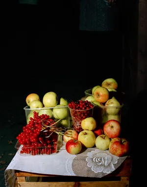 FUTURES x Magnum Artist Spotlight: Lia Darjes