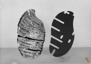 Giovanna Petrocchi: my research revolves around archaeology, fictional narratives and primordial nature