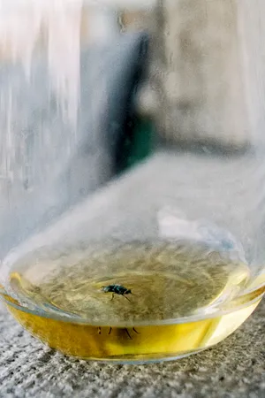hamster wheel artwork