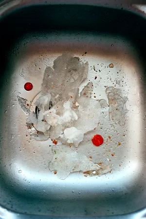 hamster wheel artwork