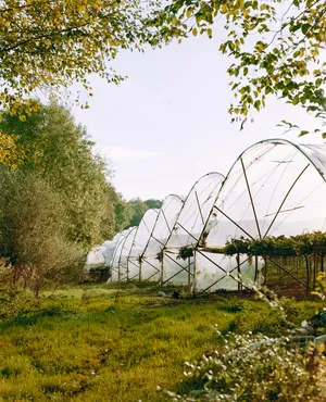 Harvest artwork