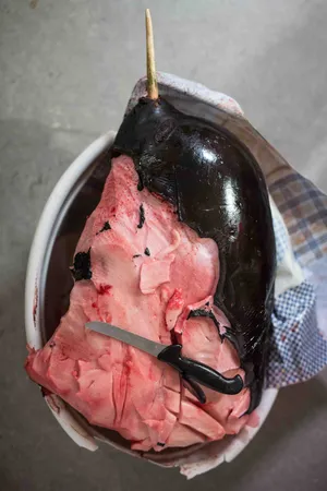 Heart of a Seal artwork
