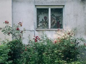 Hidden Garden artwork