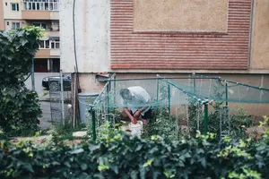 Meet the artists nominated by Photo Romania Festival in 2023
