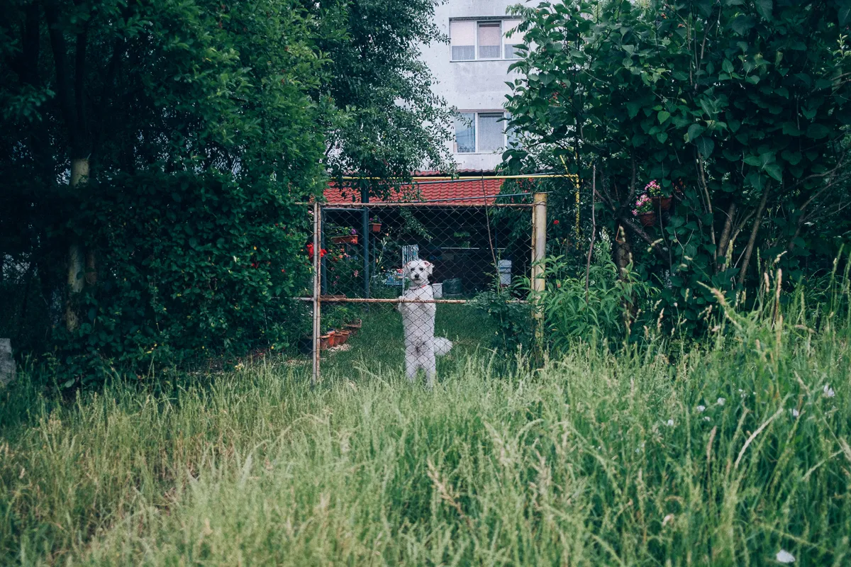 Meet the artists nominated by Photo Romania Festival in 2023