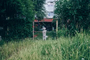 Meet the artists nominated by Photo Romania Festival in 2023