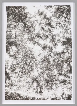 hommage à Simon Hantai artwork